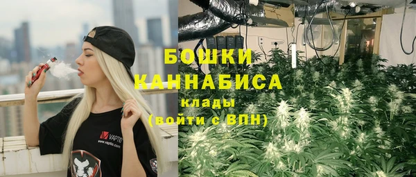 стафф Нягань