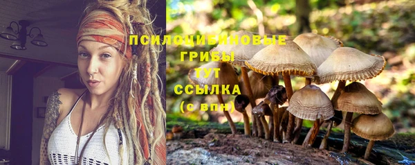 гидра Нязепетровск